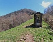 34 Alla Madonna del cacciatore (1006 m) con vista in Canto Alto (1146 m) 